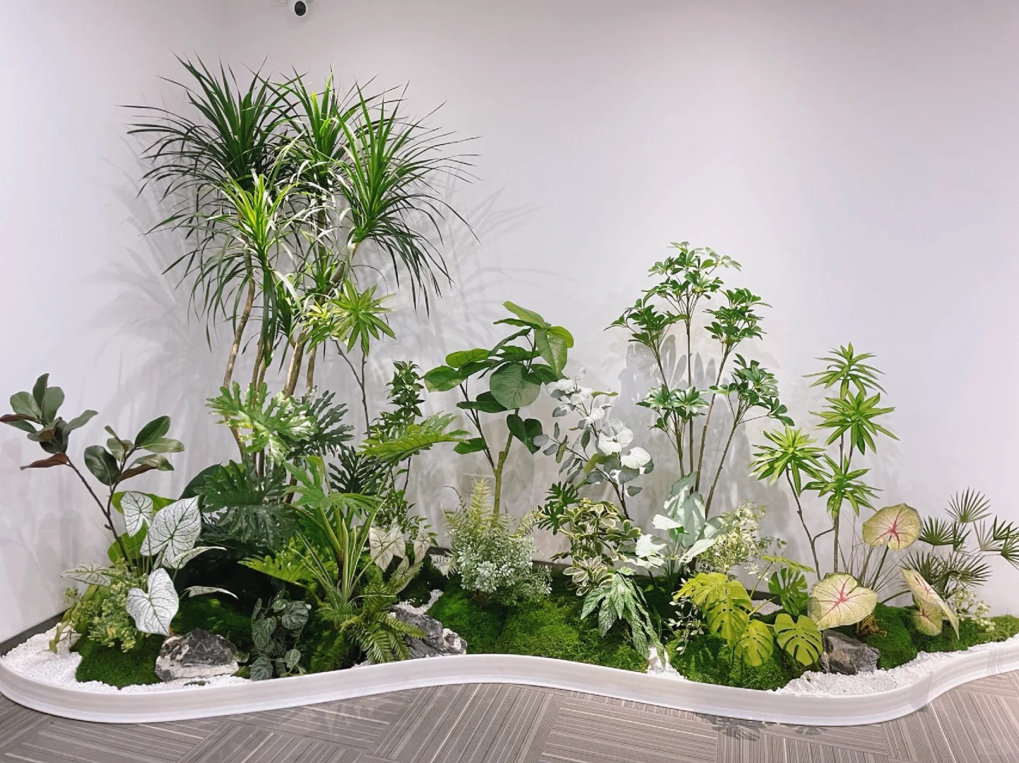 余姚植物租摆哪家好?专业推荐,让绿植焕发生机